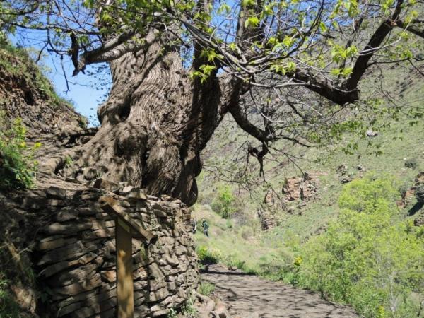 Precioso Apartamento Cerca De Sierra Nevada Güéjar Sierra Zewnętrze zdjęcie